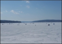 It takes a Village to Catch a Fish